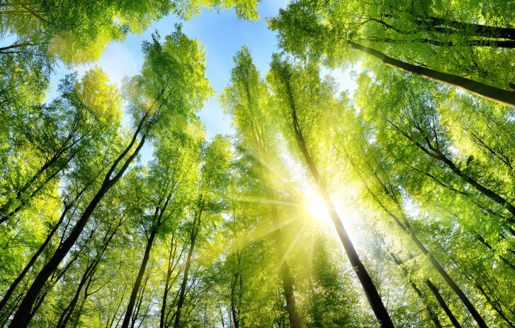  E-Commerce Solutions