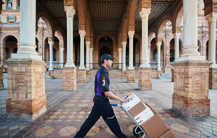 Express Delivery, Courier & Shipping Services | FedEx Malaysia