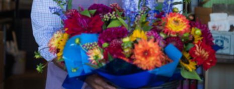 Packaging Flowers and Plants