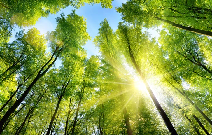 Minimise your environmental impact 